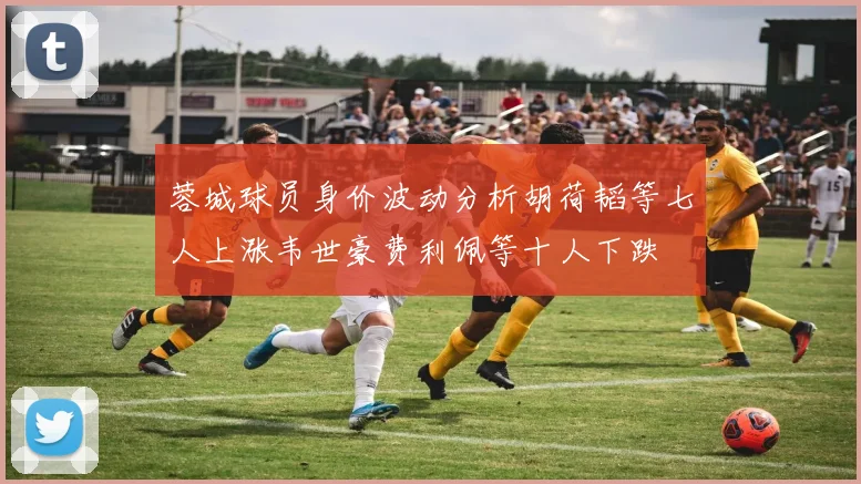 蓉城球员身价波动分析胡荷韬等七人上涨韦世豪费利佩等十人下跌